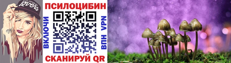 МЕГА как войти  Андреаполь  Псилоцибиновые грибы ЛСД 